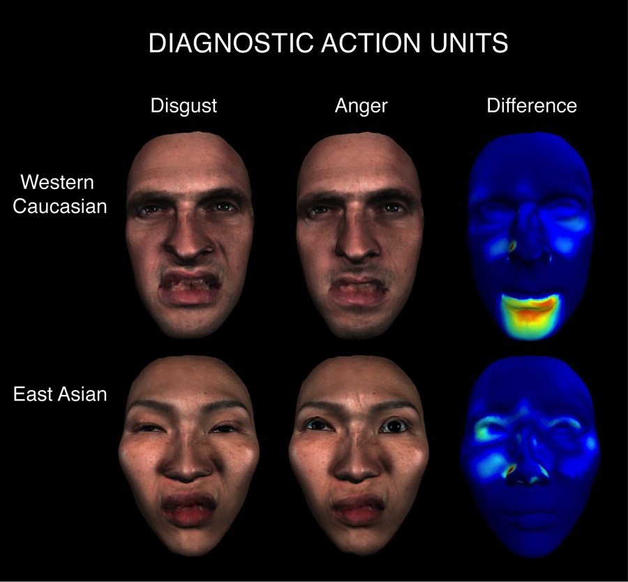 Understanding The Face As A Dynamic Communication Tool Emotion Researcher 8901