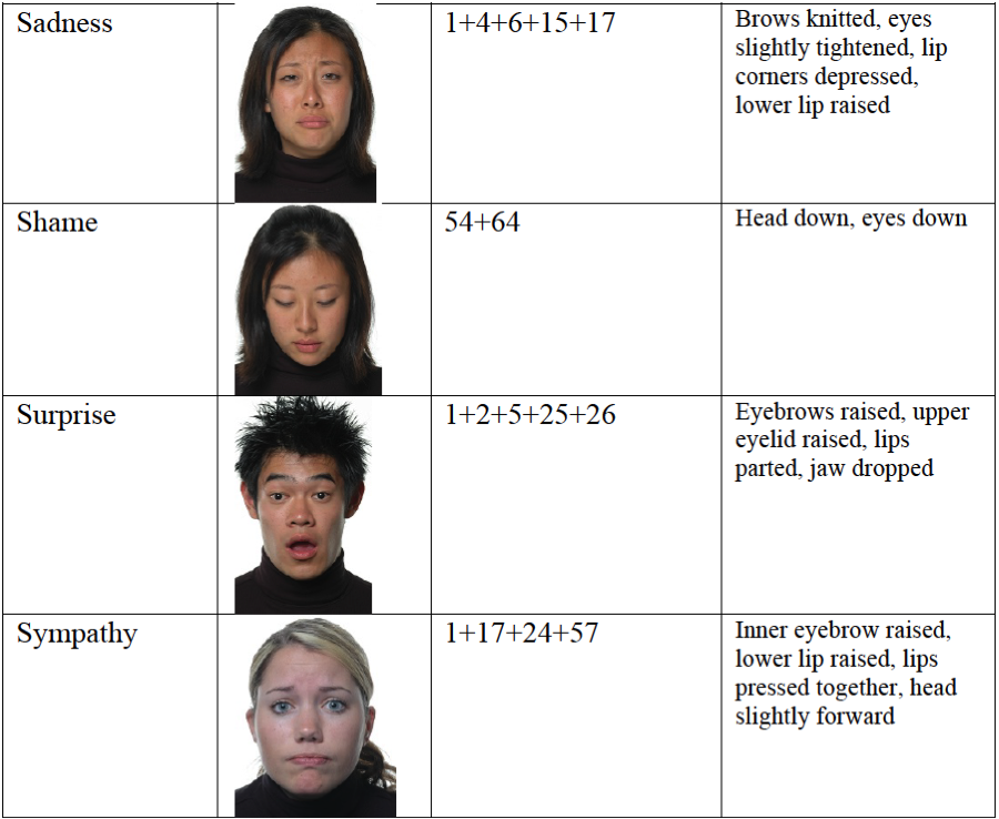 Examples Of Facial Expressions 113